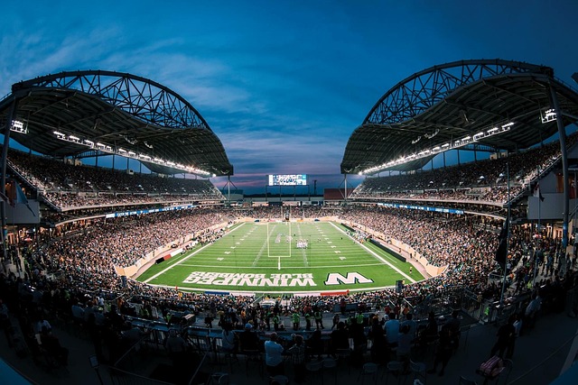 这再次证明 这再次证明