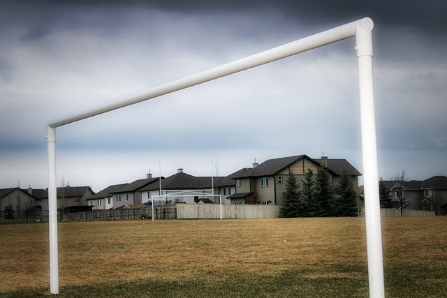 道速滑领域 道速滑领域