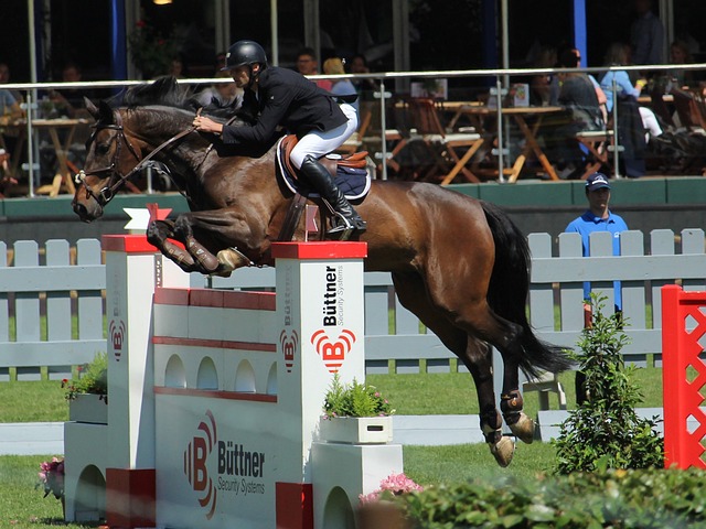 战术特点制 战术特点制