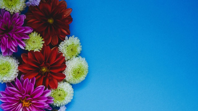 领跑世界排 领跑世界排