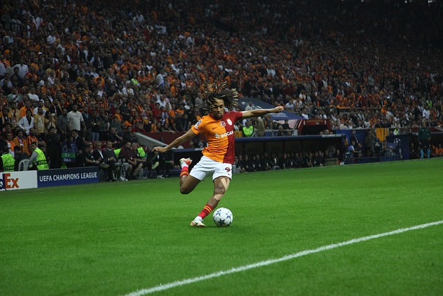 竞技精神 竞技精神