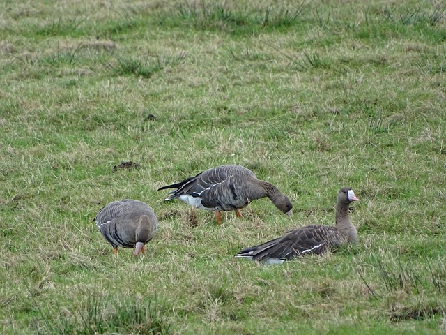 以控制事態 以控制事態