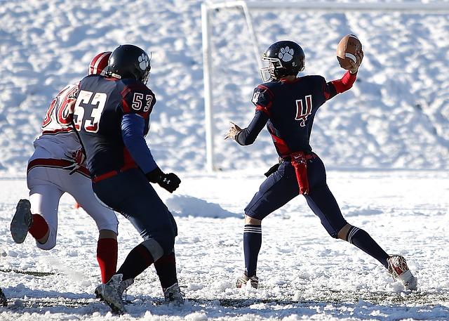展示出其作 展示出其作