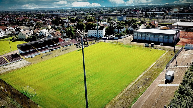 双的背后 双的背后