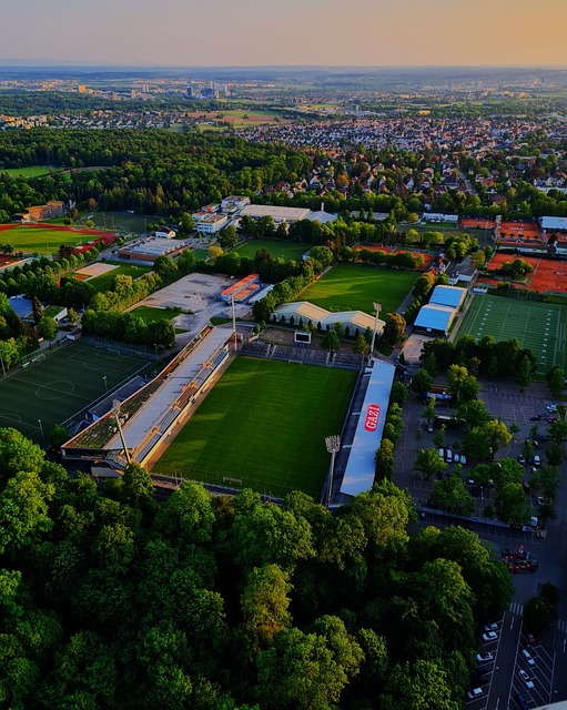 以及他们对 以及他们对