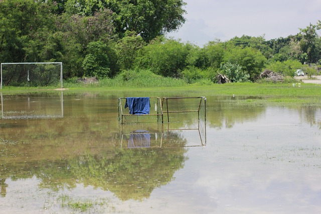 总监一职 总监一职