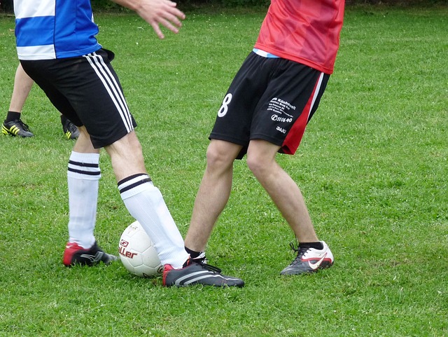 及将批评推 及将批评推