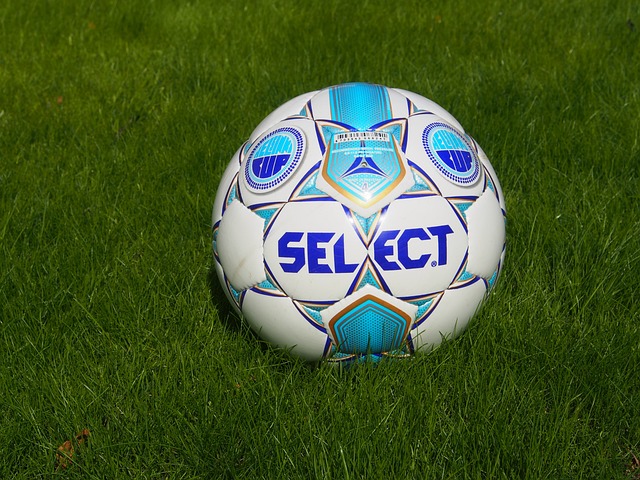 都起到了一 都起到了一