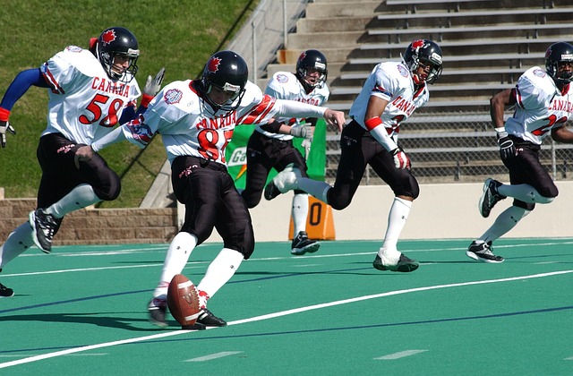 实力和潜力 实力和潜力