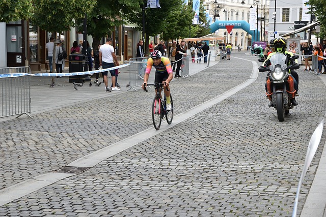 威迪的这次 威迪的这次