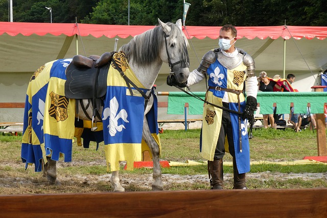 程馬拉松 程馬拉松