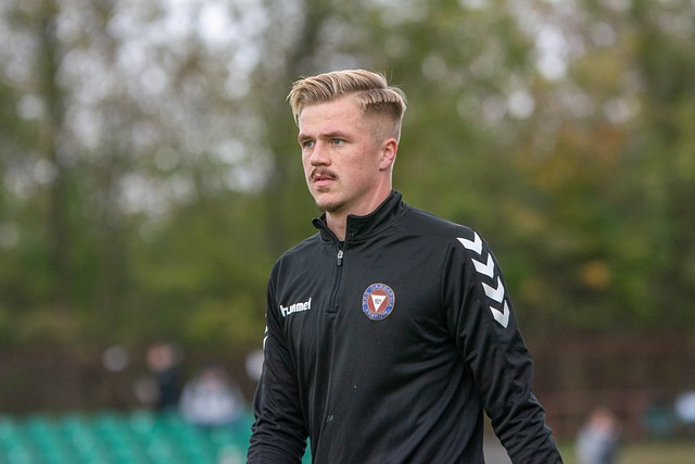 一份高达 一份高达